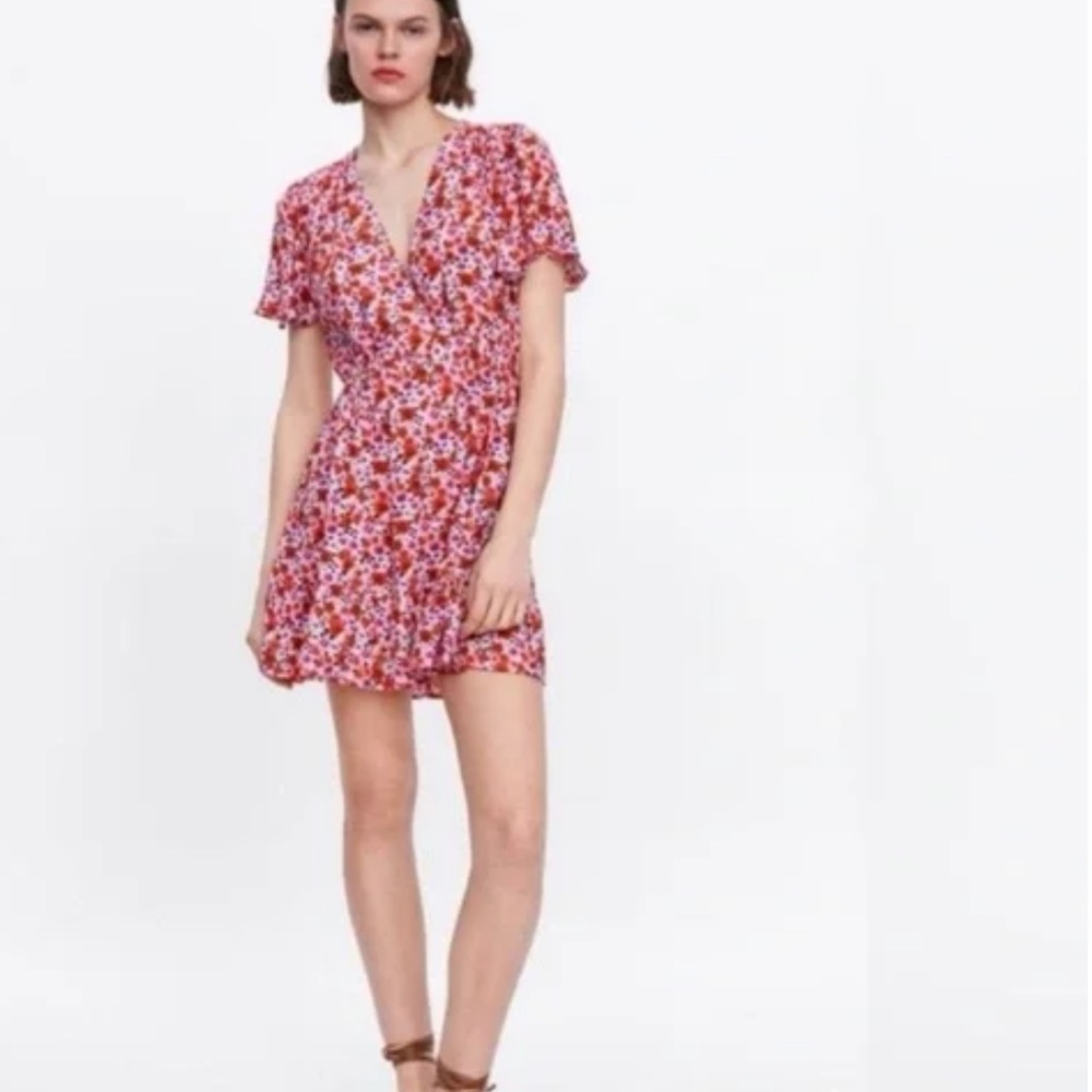 Zara Pink and Red Floral Mini Dress